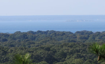 View from Mt. Zig in Falmouth